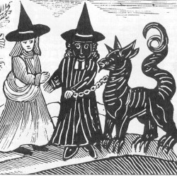 strega